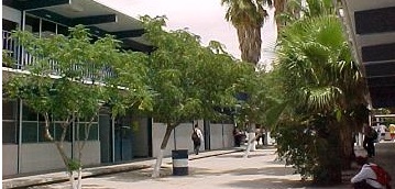 C.B.T.i.s. Núm. 114 - Slide5